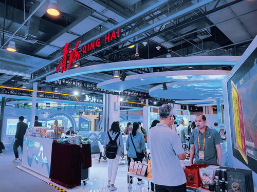 綠色,來(lái)自三江源的一抹 亮色 2024年服貿(mào)會(huì)一線見聞之三