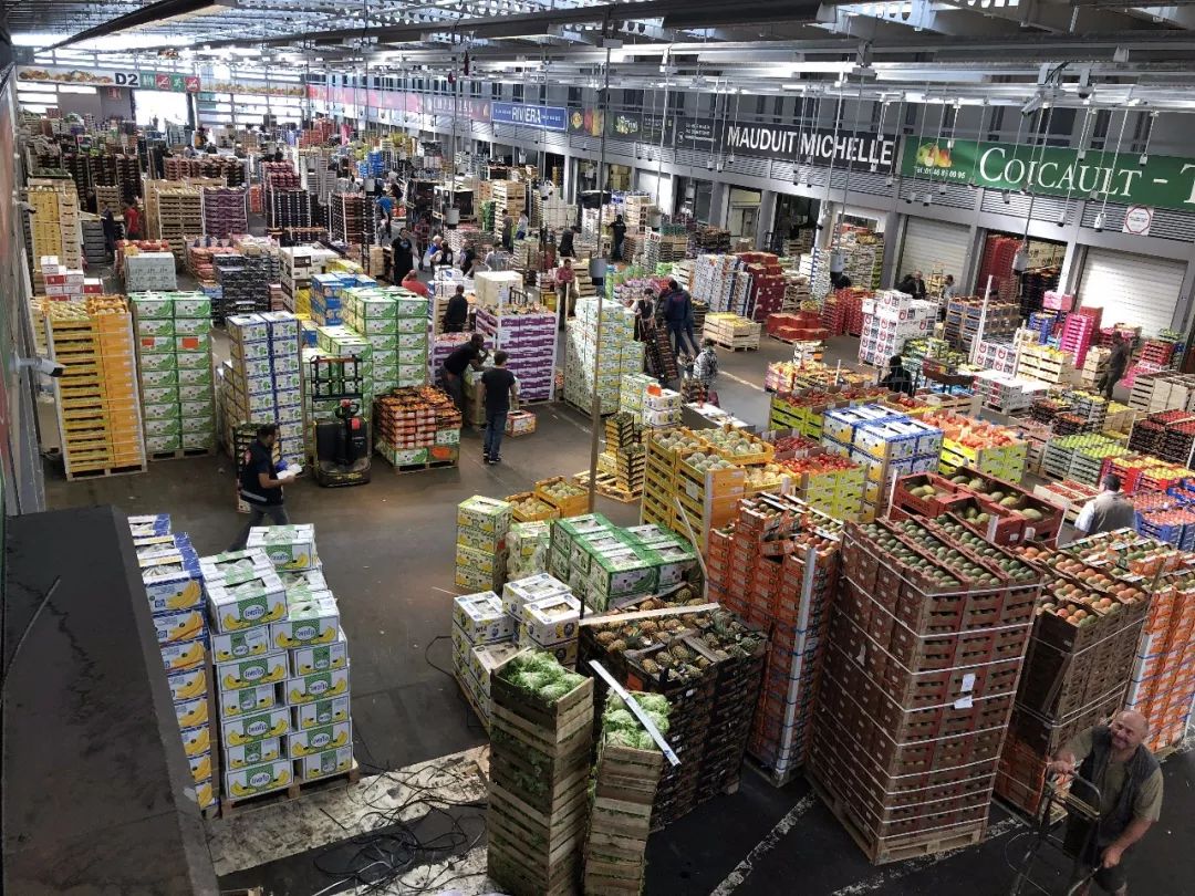 河北新發(fā)地集團(tuán)董事長米亞林赴歐洲考察農(nóng)產(chǎn)品市場(chǎng)發(fā)展新模式